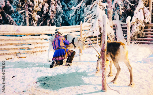 Foto Man on Reindeer sleigh in Finland in Rovaniemi at Lapland farm