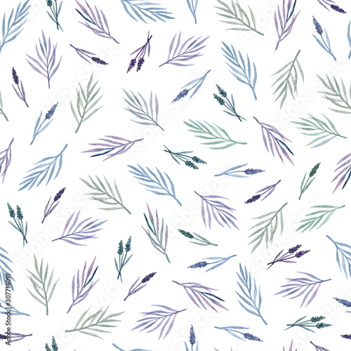 watercolor hand painted wild herbs seamless pattern on a white background