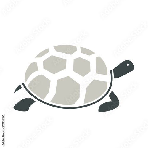 Turtle design logo