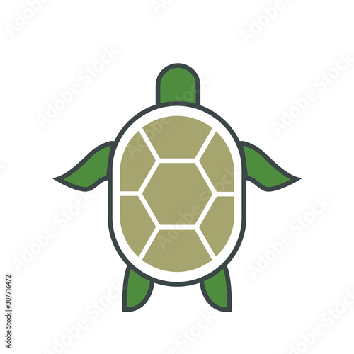 Turtle design logo