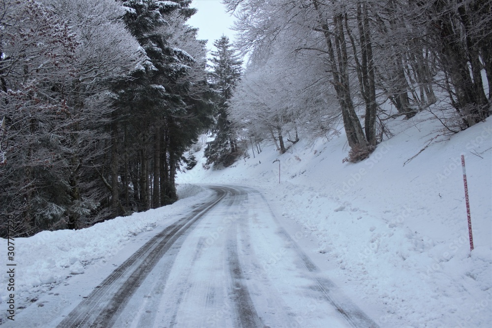 Fototapeta premium road in winter forest