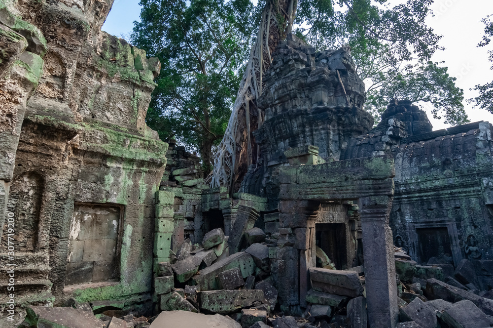 Ta Prohm Temple Ruins