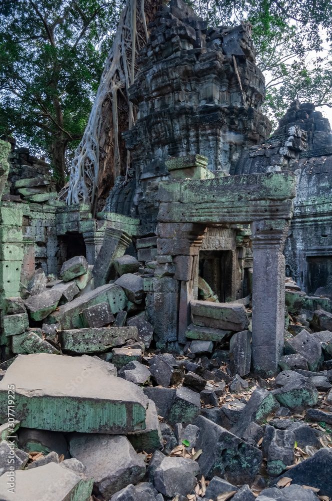 Ta Prohm Temple Ruins