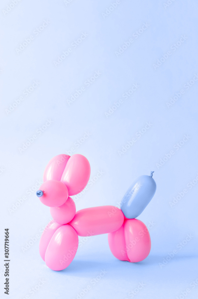 Ball in the shape of a dog on a classic blue background.