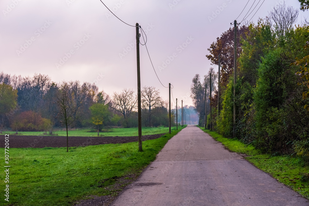 empty country road in autumn