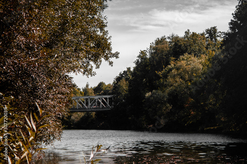 autumn in the park