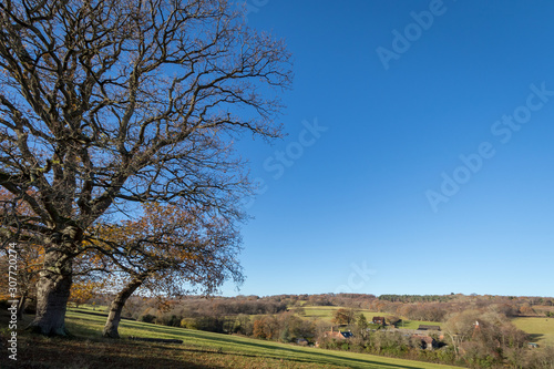 SUSSEX/UK - NOVEMBER 25 : View of Buildings and Farmland in the Rolling Countryside of Sussex on November25, 2016