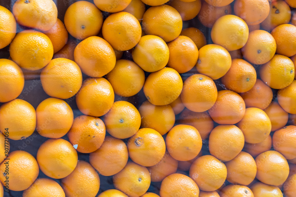 Lots of oranges behind the glass. Lots of oranges behind the glass.