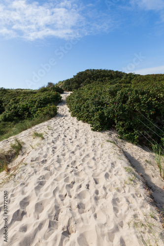 Wanderweg in den Dünen