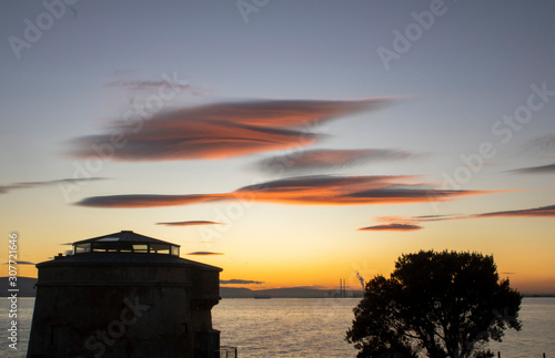 Photography tower tree looking dublin city at sunset