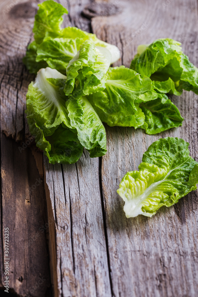 Fresh baby lettuce on wooden board Fresh baby lettuce on wooden board