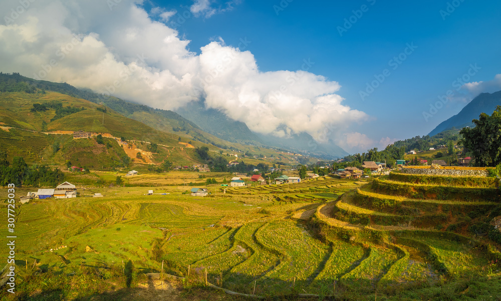 Landscape with farm and rice field in Sapa, Vietnam