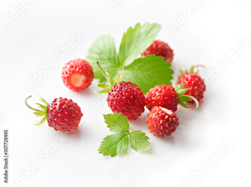 Wild strawberries on white background