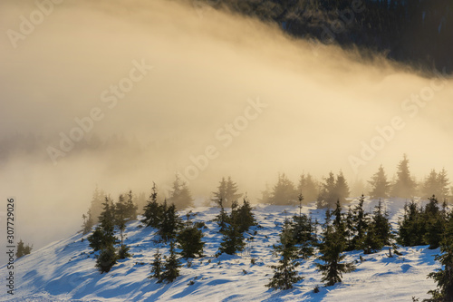 Traveling tourists on the snowy winter mountain ranges of the Ukrainian Carpathians with beautiful views of the evening peaks.