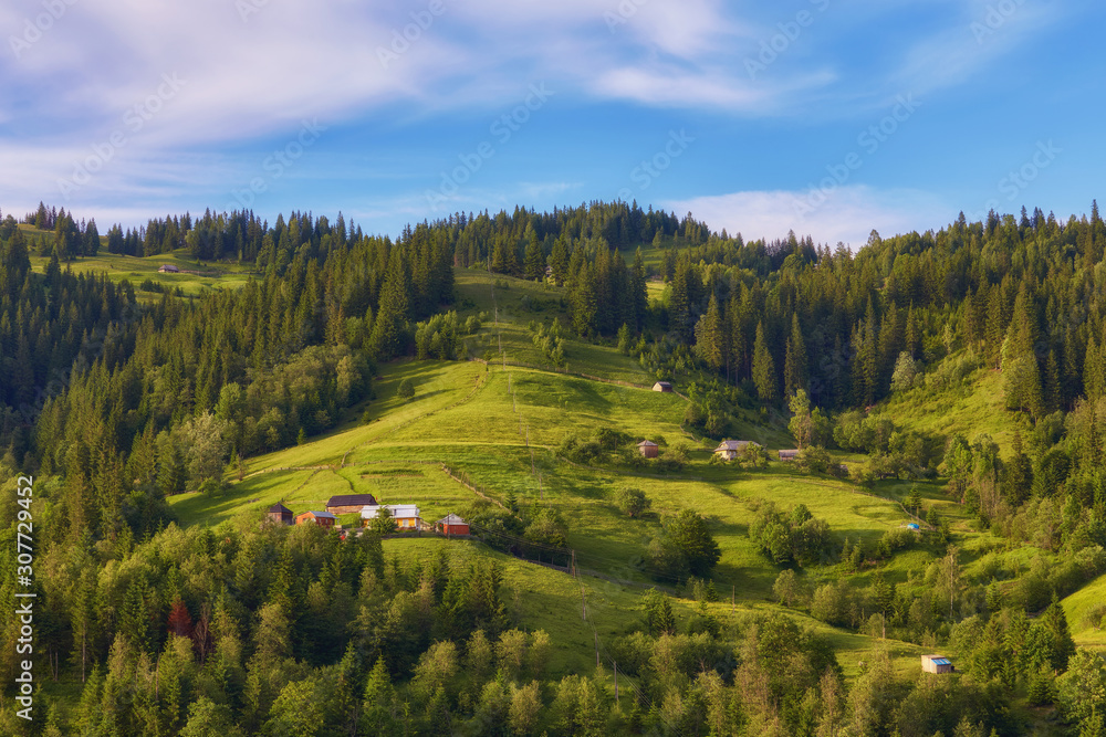 A wooden house on a green meadow in mountains. A house near old forest.
