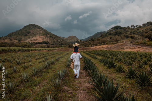 Farmer carries his daughter on his shoulders among the crops of agave mezcaleros, they walk towards the horizon photo