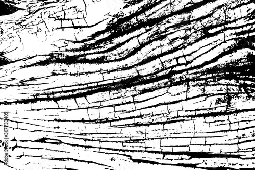 Distressed overlay texture of rough surface, old tree stump with cracks, rings on tree. Grunge background. One color graphic resource.