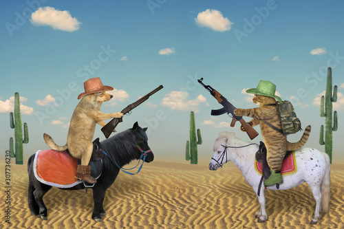 Wallpaper Mural The dog cowboy in a brown hat and boots with a rifle on a white horse  and the cat soldier with a army backpack and a Kalashnikov machine gun on a black pony met in the desert