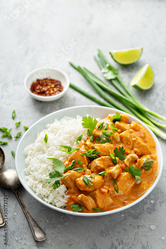 Chicken and cashew red curry with rice and herbs, thai inspired dish