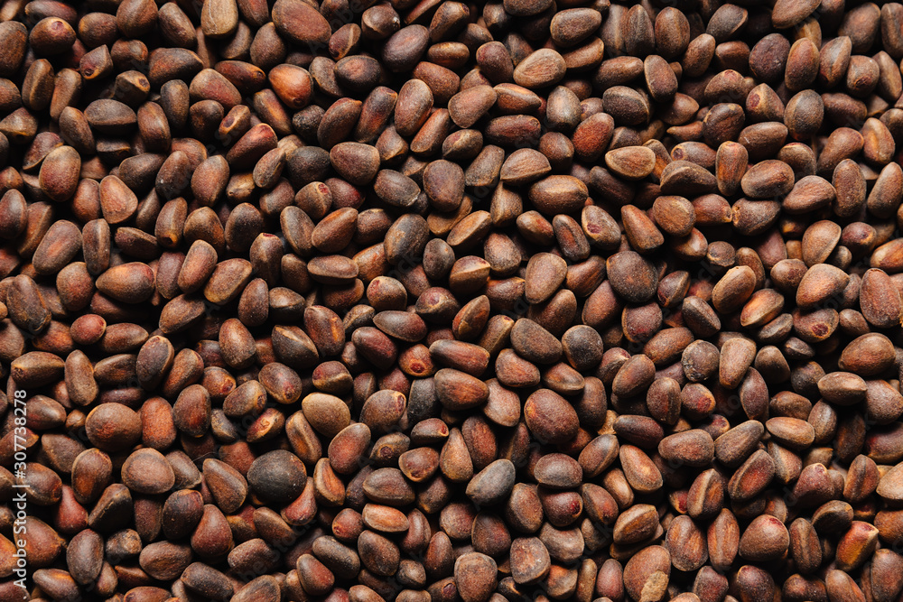Pine nuts. Textured background for wallpaper. Pine nuts. Textured background for wallpaper.