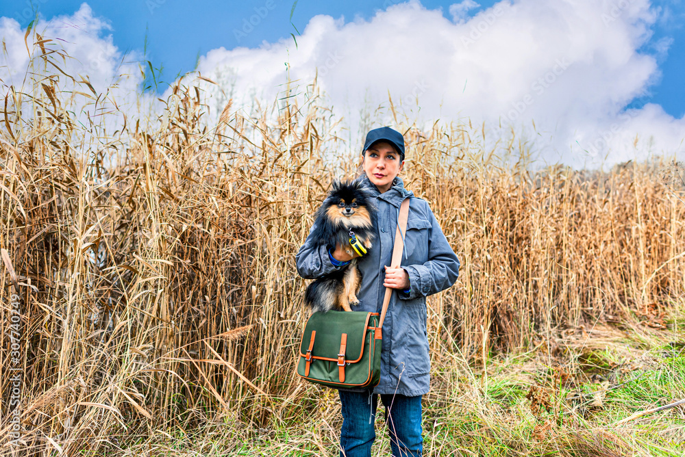 Girl with charming Pomeranian spitz dog in high grass in summer autumn forest park. Girl with charming Pomeranian spitz dog in high grass in summer autumn forest park.