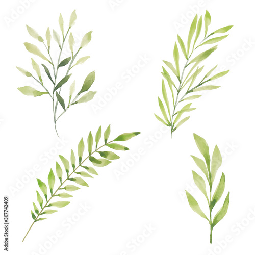 Set of watercolor hand painted green leaf foliage element