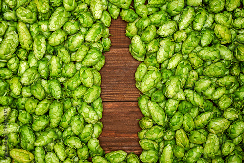 Hop cones formed as a shape of beer bottle on wooden background. Beer concept. Natural ingredients of brewery process