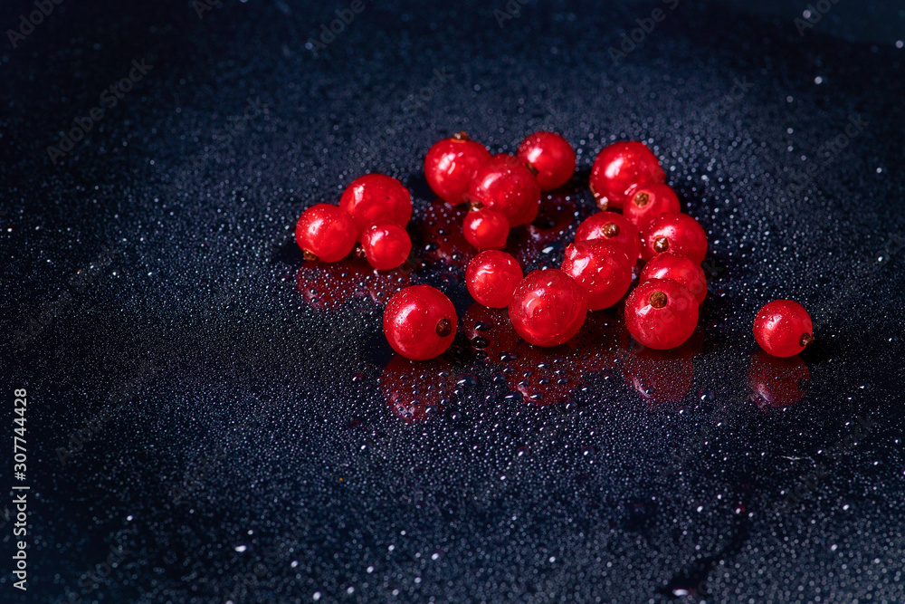 Fresh washed berries of red currant.with water drops on the background Fresh washed berries of red currant.with water drops on the background