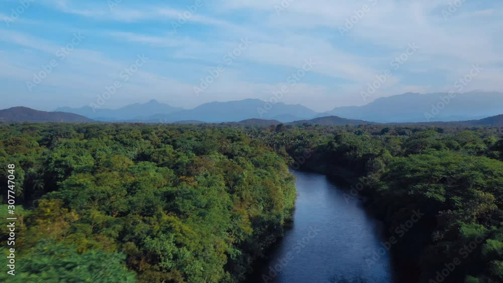 Aerial view of brazilian river tropical green forest with mountains in background Aerial view of brazilian river tropical green forest with mountains in background