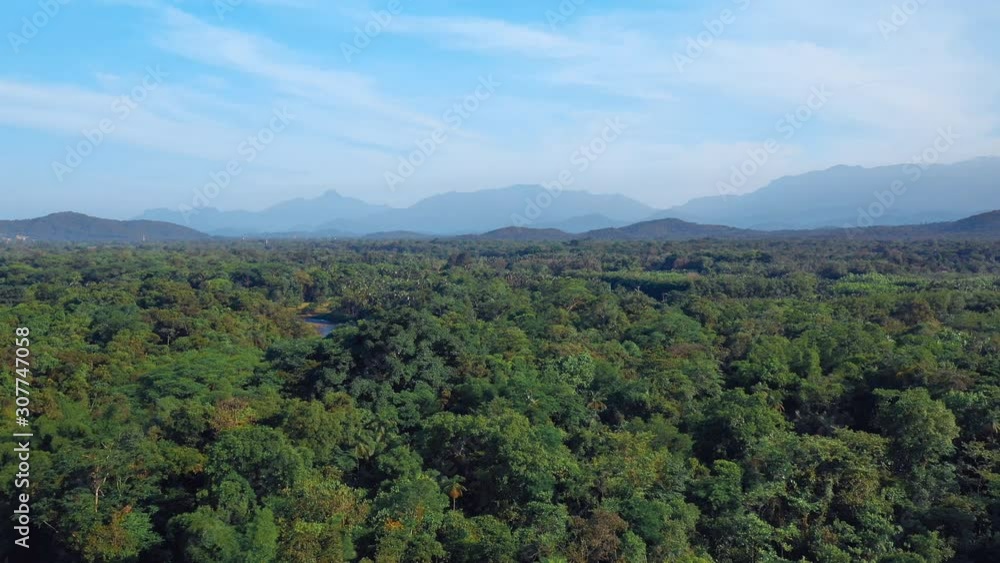 Beautiful tropical amazon green forest with a river and mountains in background Beautiful tropical amazon green forest with a river and mountains in background