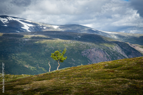 Beautiful mountains and summertime in Norway, Jotunheimen National Park. photo