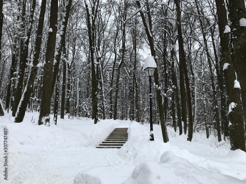 Black staircase up among the white snowdrifts against the background of snow-covered black trees, a lantern and a white sky. Photo from a mobile phone in natural light on a cloudy winter day in Russia