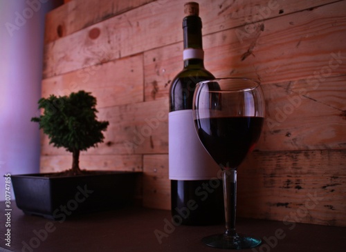 botella de vino en un ambiente frío junto a una copa