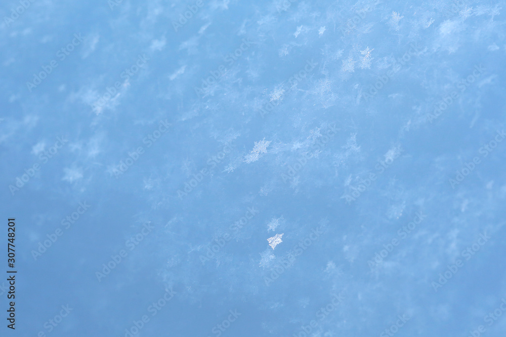 雪の結晶 雪の結晶