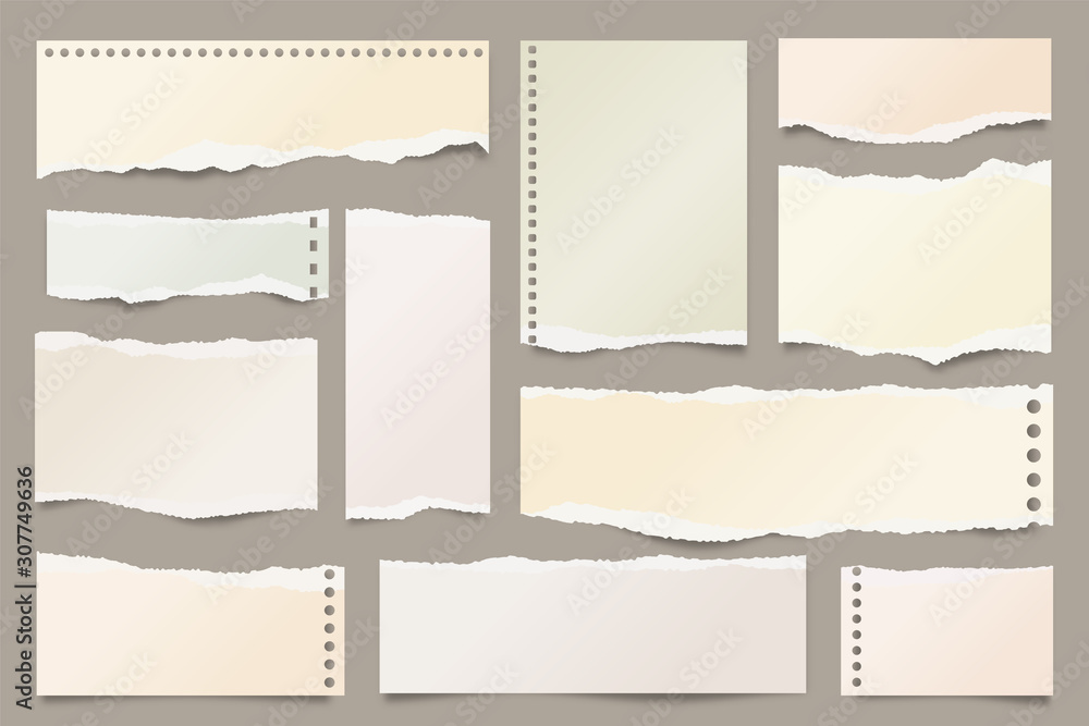 White ripped paper strips collection. Realistic paper scraps with torn edges. Sticky notes, shreds of notebook pages. Vector illustration. White ripped paper strips collection. Realistic paper scraps with torn edges. Sticky notes, shreds of notebook pages. Vector illustration.