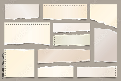 Colored ripped paper strips collection. Realistic paper scraps with torn edges. Sticky notes, shreds of notebook pages. Vector illustration.