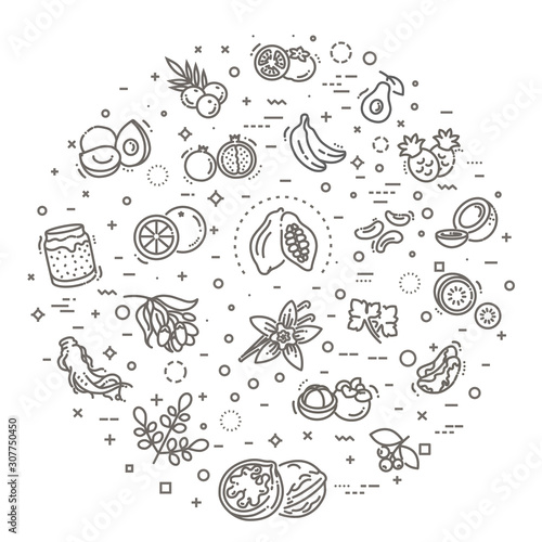 Superfoods line vector icons