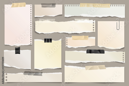 Colored ripped paper strips collection. Realistic paper scraps with torn edges and adhesive tape. Sticky notes, shreds of notebook pages. Vector illustration.