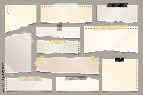 Colored ripped paper strips collection. Realistic paper scraps with torn edges and adhesive tape. Sticky notes, shreds of notebook pages. Vector illustration. photo