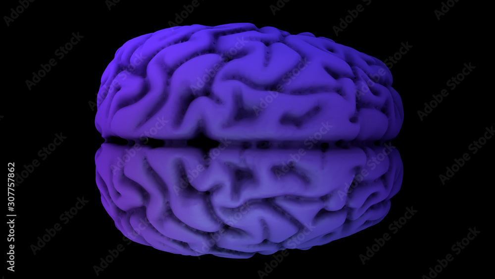 brain in the color purple brain in the color purple