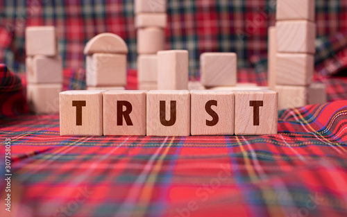 Word "Trust" written with wooden blocks
