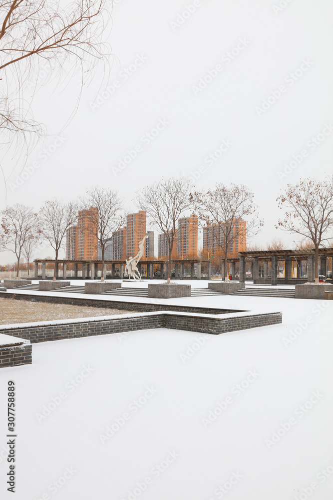 winter scenery of Chinese Urban Parks