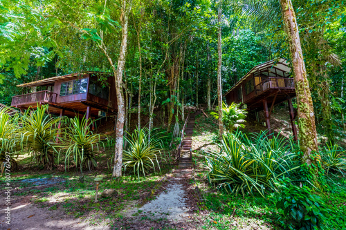 Two Bungalows Surrounded By Flora In The Suriname Jungle, South America