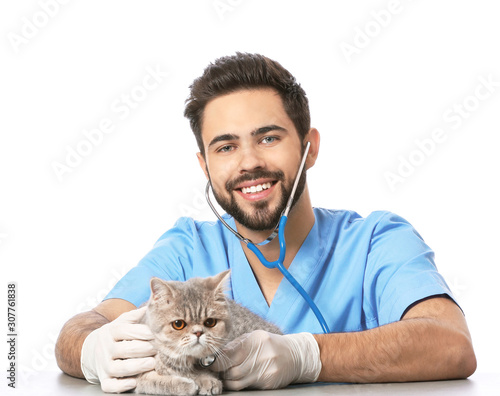 Veterinarian examining cute...