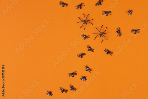spiders on an orange table © alexxndr