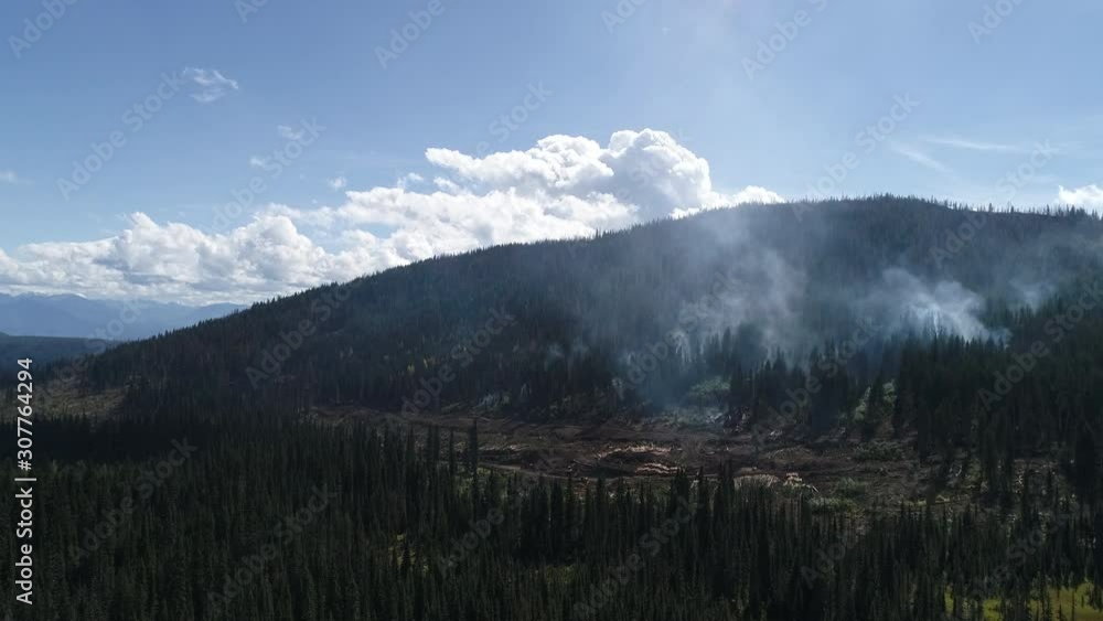 Drone, aerial, medium wide shot of a forest with smoke pouring out next to an area that is cleared out and charred. Drone, aerial, medium wide shot of a forest with smoke pouring out next to an area that is cleared out and charred.