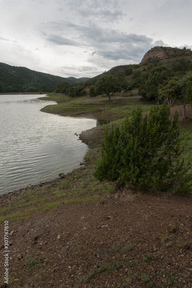 Vertical,Bear Canyon Lake, New Mexico, a stormy morning.