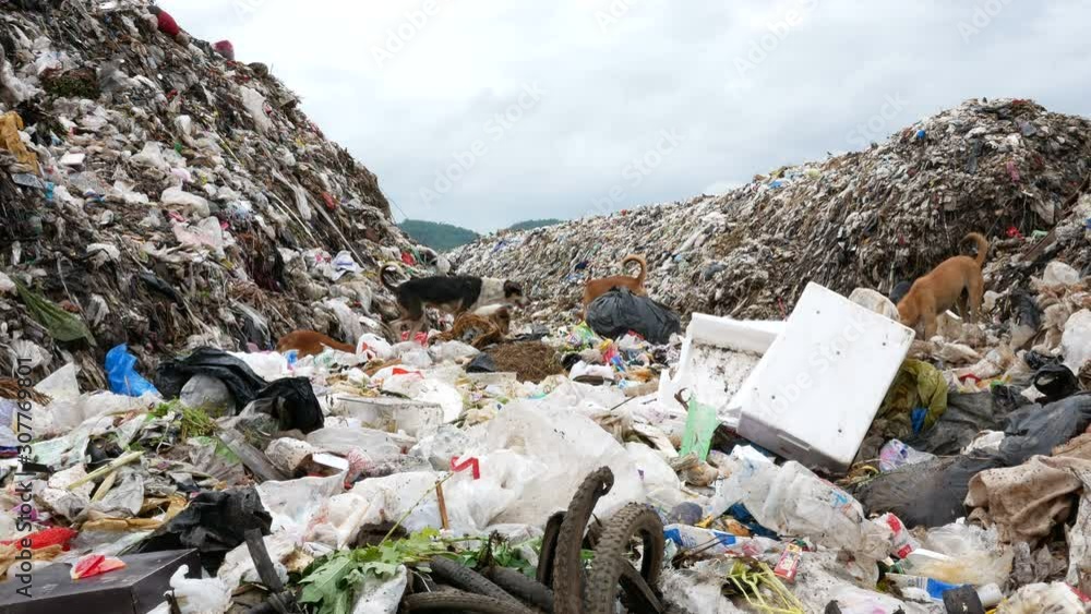 The pollution of the environment by plastic and garbage. Pollution of garbage increases. Garbage is dumped in open or freely available places or forest.