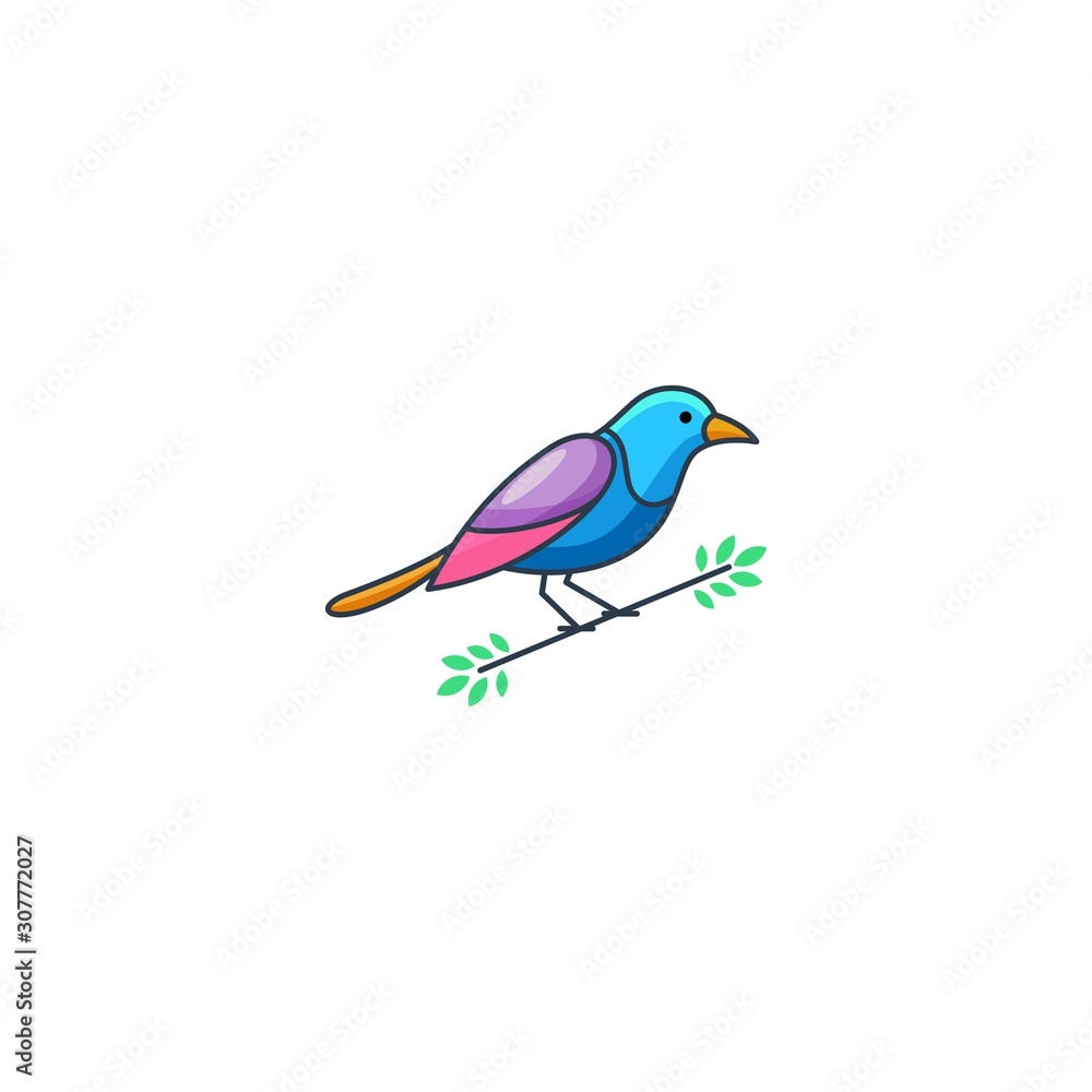 Obraz premium Humming Bird Colorful Designs Concept illustration Vector Template