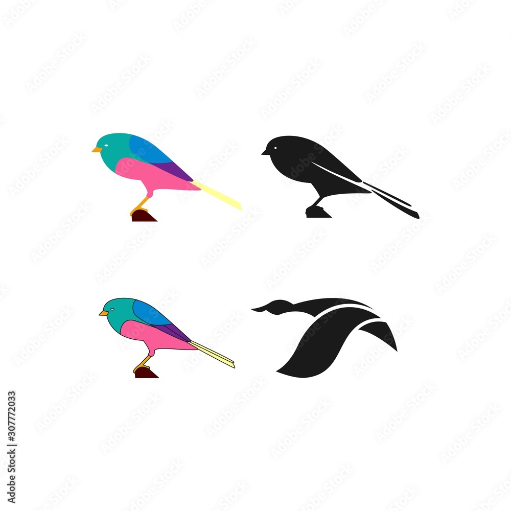 Fototapeta premium Humming Bird Colorful Designs Concept illustration Vector Template